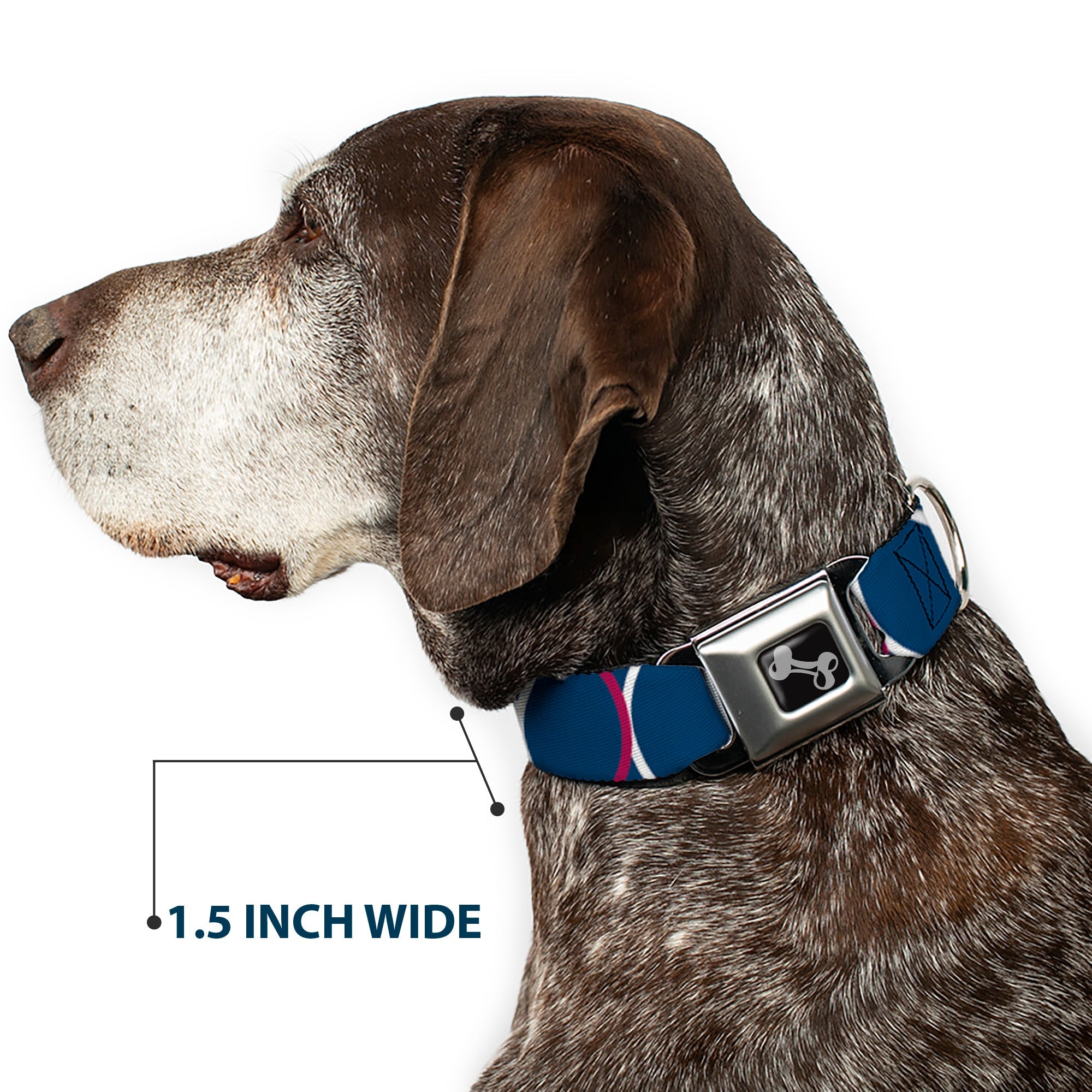 Dog Bone Seatbelt Buckle Collar - Rings Turquoise/White/Fuchsia
