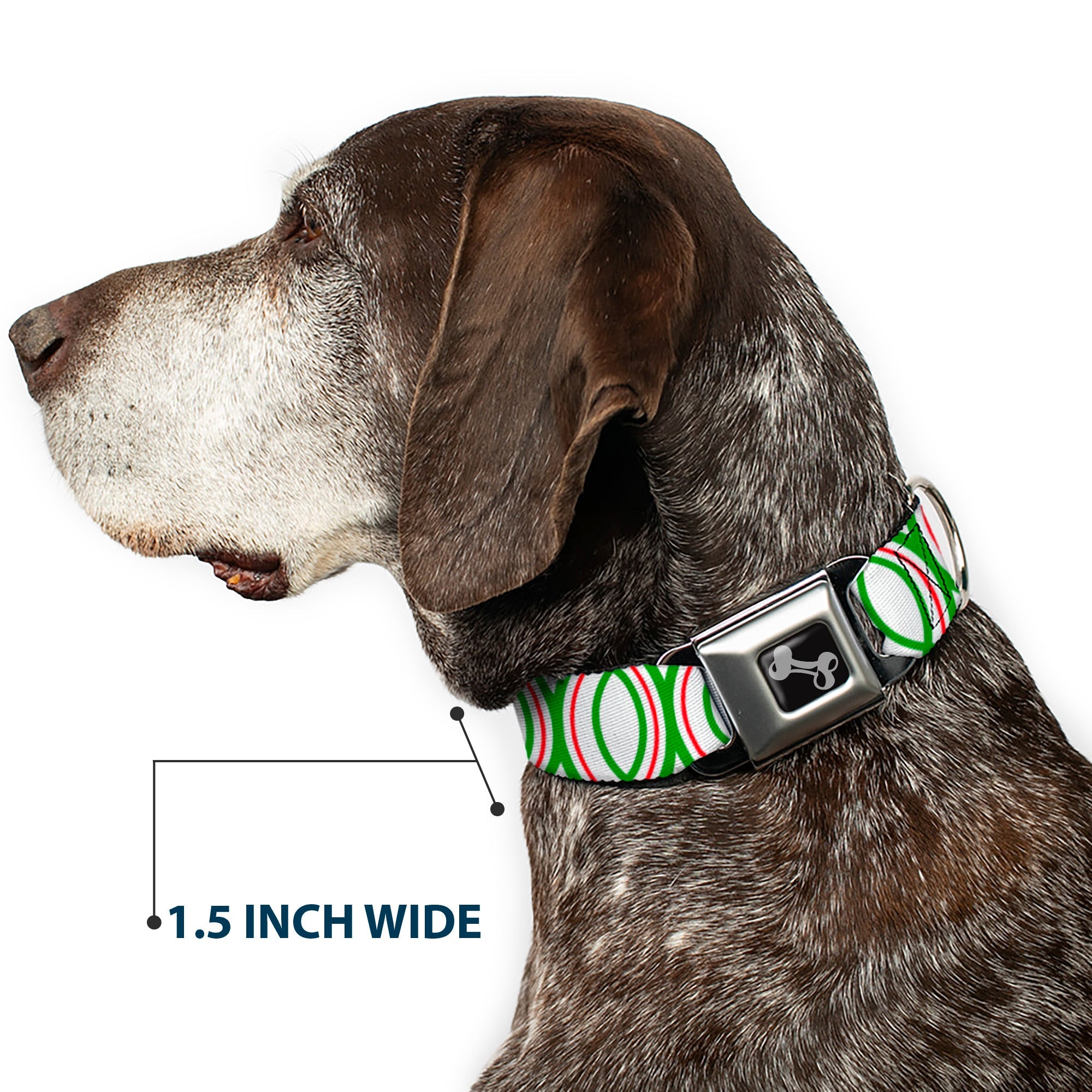 Dog Bone Seatbelt Buckle Collar - Rings White/Green/Red