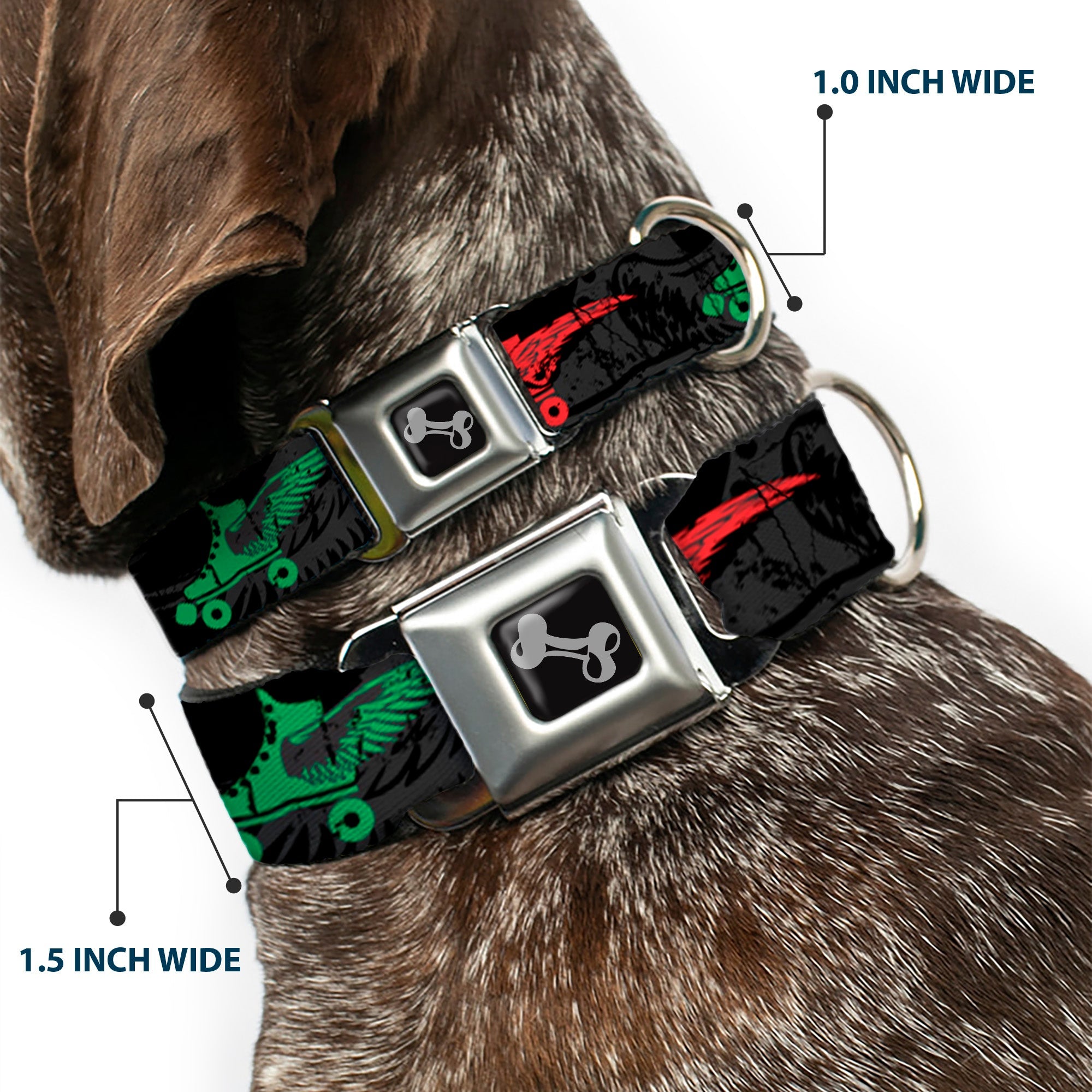 Dog Bone Seatbelt Buckle Collar - Roller Skates Black/Gray/Multi Color