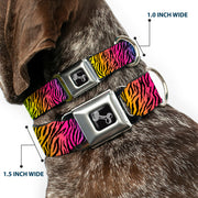 Dog Bone Seatbelt Buckle Collar - Zebra Rainbow Ombre