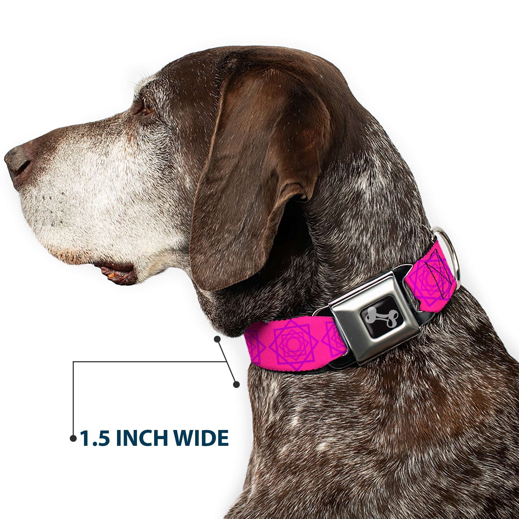 Dog Bone Seatbelt Buckle Collar - Rotating Squares Pink/Purple