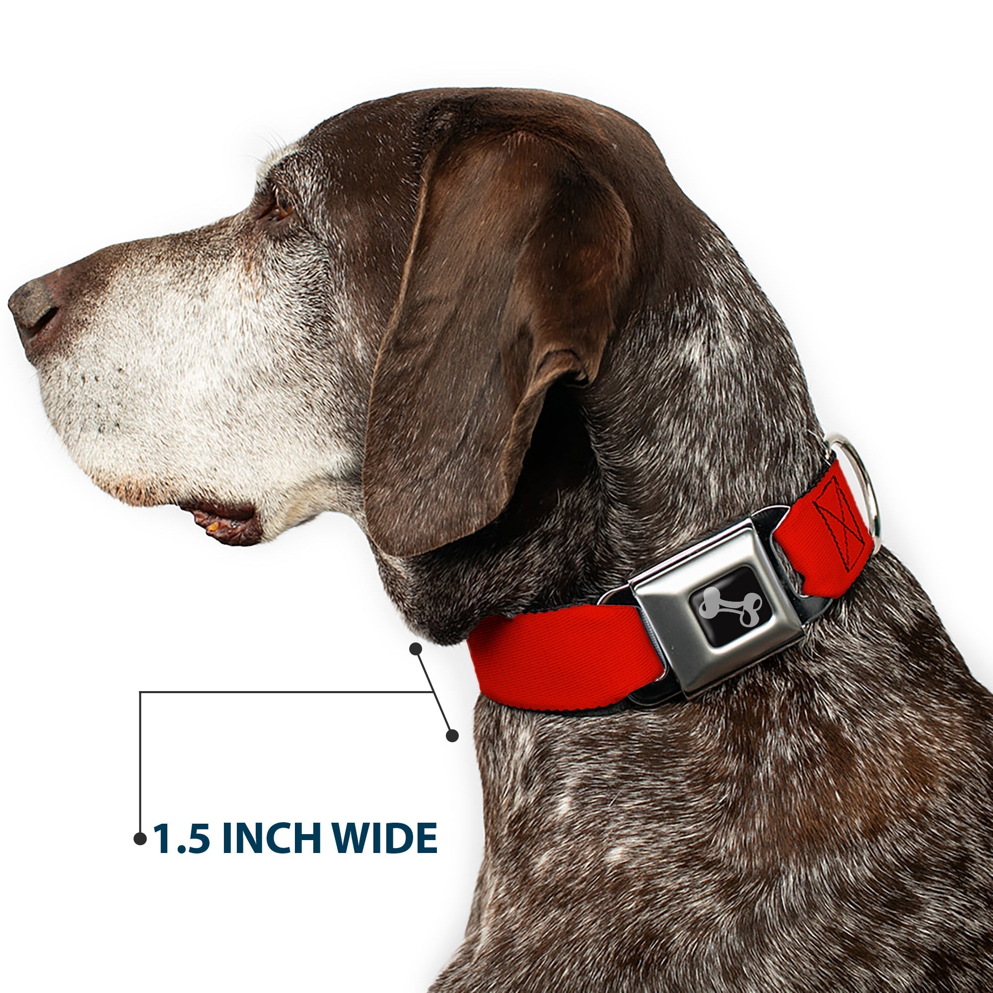 Dog Bone Seatbelt Buckle Collar - Red Print