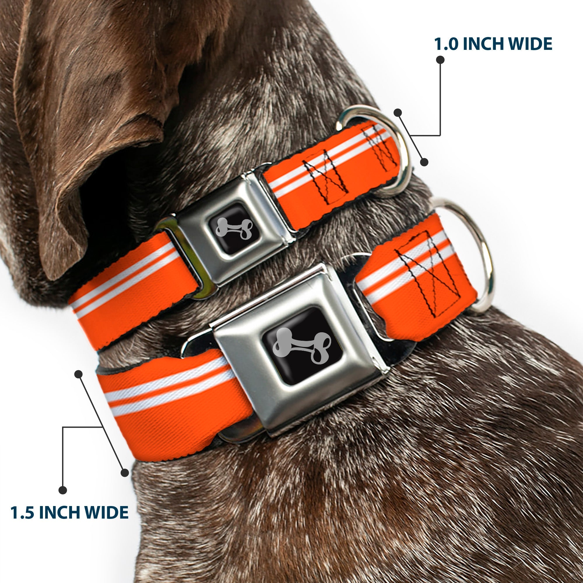 Dog Bone Seatbelt Buckle Collar - Racing Stripe Orange/White