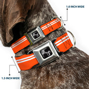 Dog Bone Seatbelt Buckle Collar - Racing Stripe Orange/White