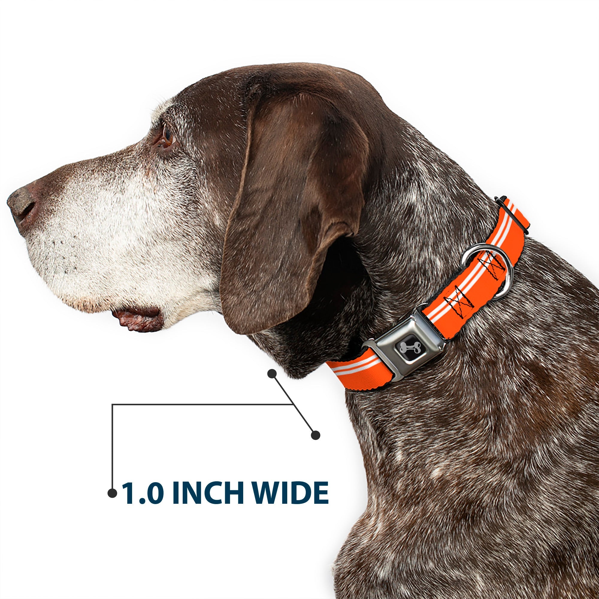 Dog Bone Seatbelt Buckle Collar - Racing Stripe Orange/White