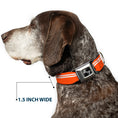 Load image into Gallery viewer, Dog Bone Seatbelt Buckle Collar - Racing Stripe Orange/White
