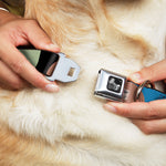 Dog Bone Seatbelt Buckle Collar - Polka Dots CLOSE-UP Black/Blue/Sage/Brown