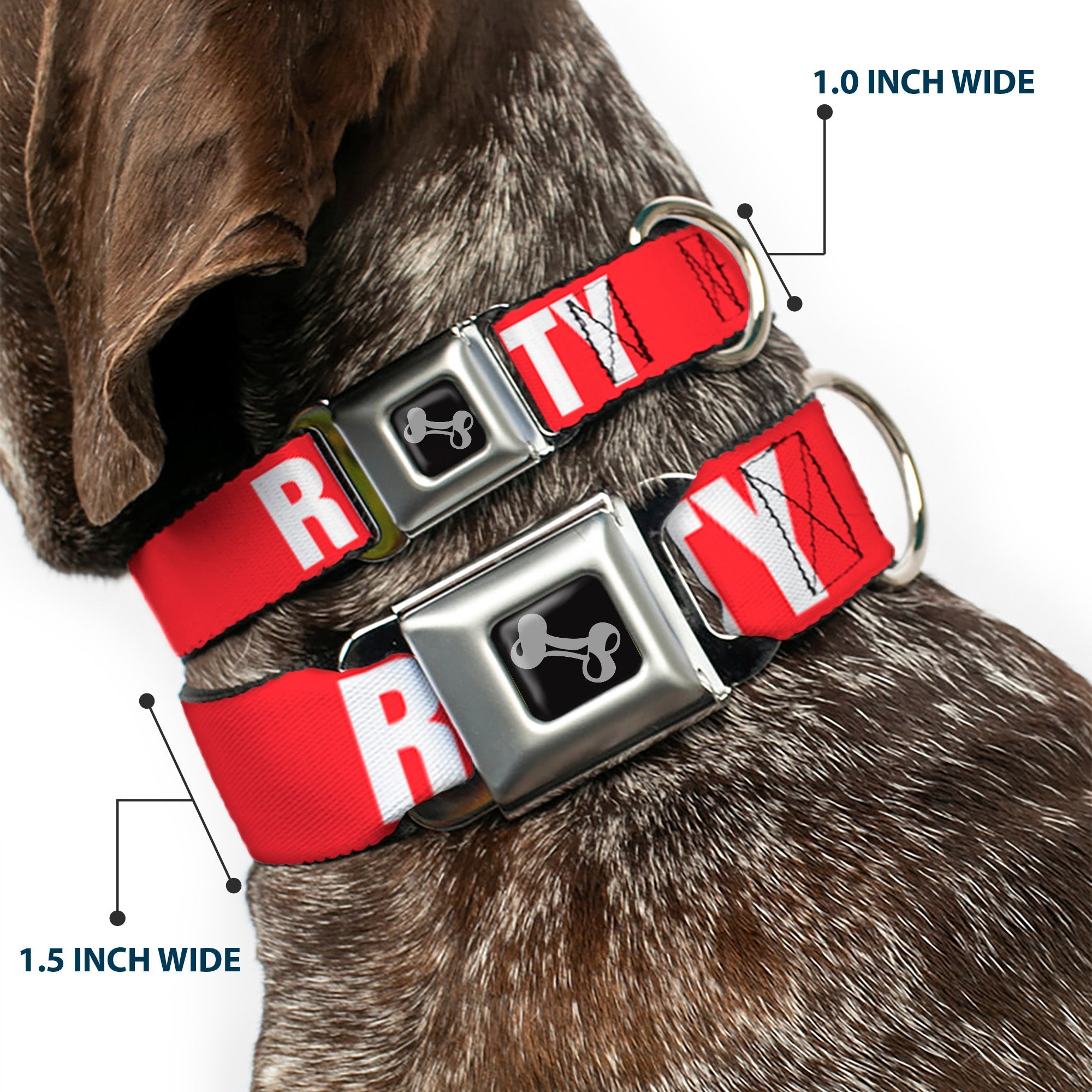 Dog Bone Seatbelt Buckle Collar - RIP CITY Red/White