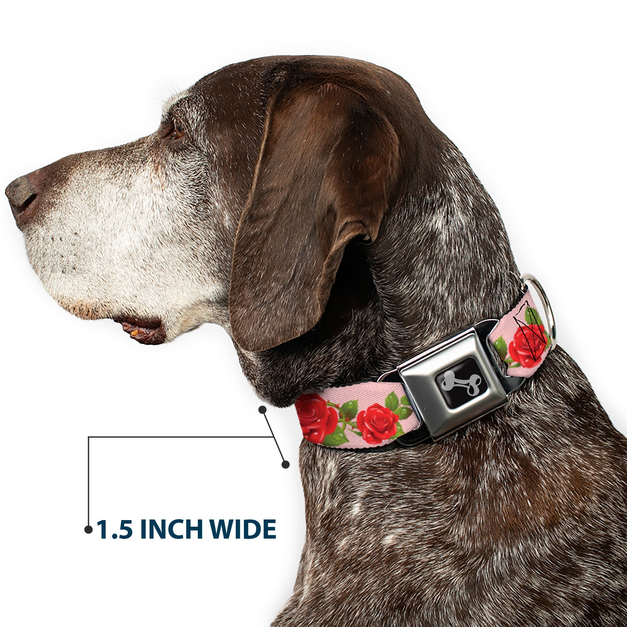 Dog Bone Seatbelt Buckle Collar - Rose Trio/Leaves Pink