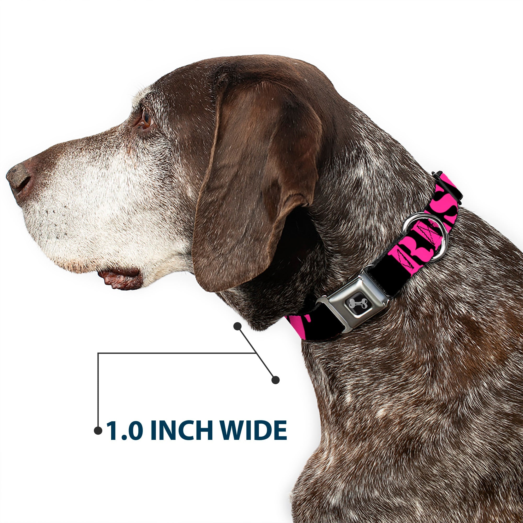 Dog Bone Seatbelt Buckle Collar - RESIST Stencil Black/Pink