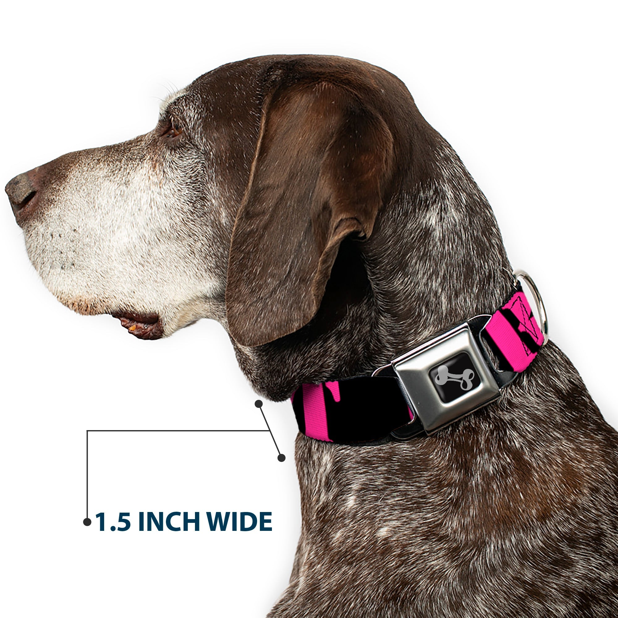 Dog Bone Seatbelt Buckle Collar - RESIST Stencil Black/Pink
