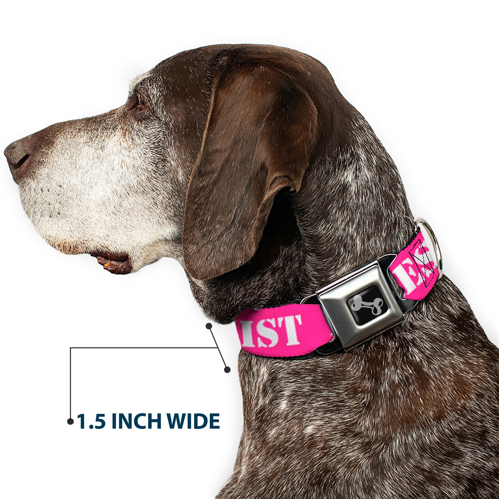 Dog Bone Seatbelt Buckle Collar - RESIST Stencil Pink/White