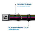 Load image into Gallery viewer, Dog Bone Black/Silver Seatbelt Buckle Collar - Racing Stripes Black/Yellow/Blue/Pink

