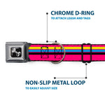 Dog Bone Black/Silver Seatbelt Buckle Collar - Racing Stripes Pink/Yellow/Blue/Black