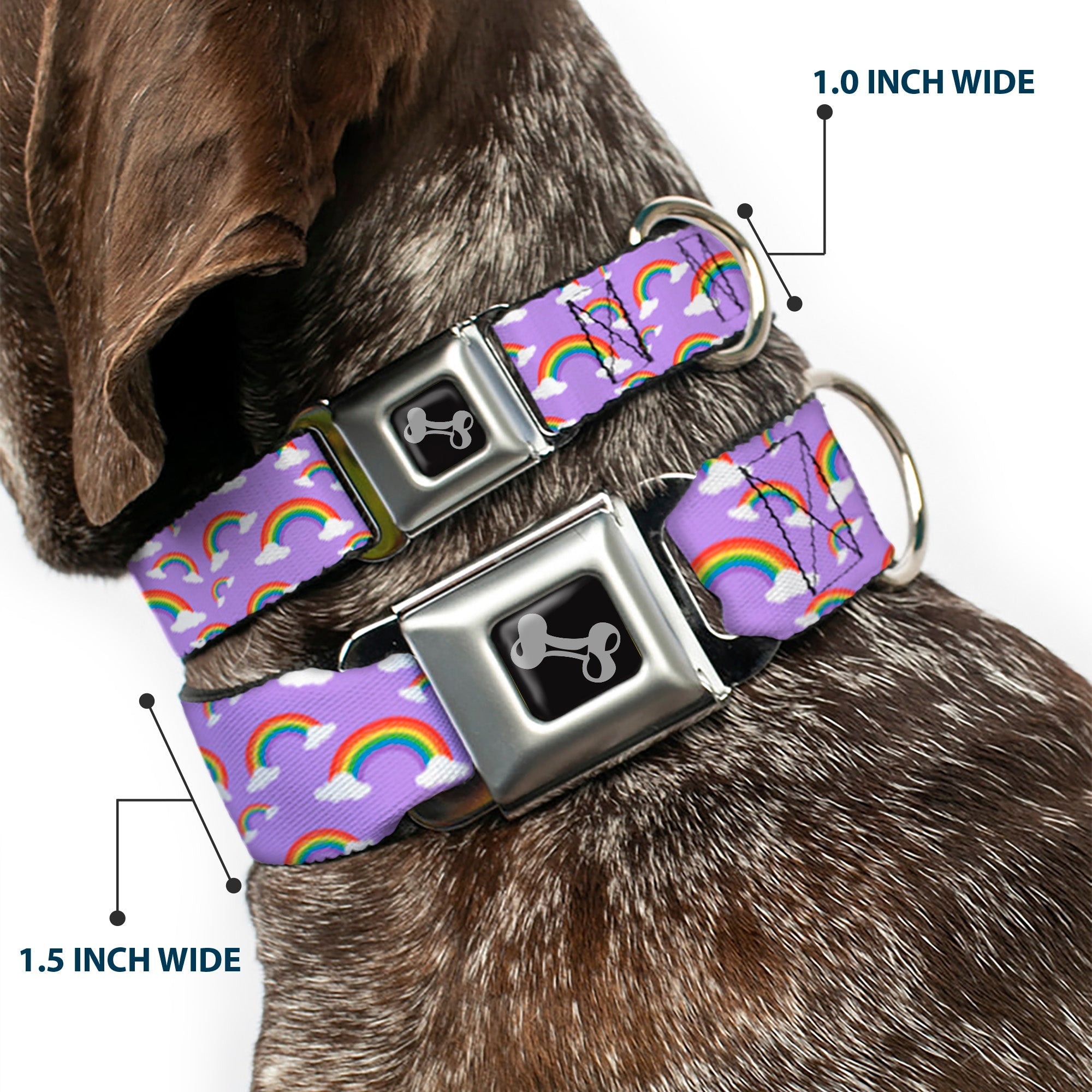 Dog Bone Black/Silver Seatbelt Buckle Collar - Rainbows Scattered Lavender