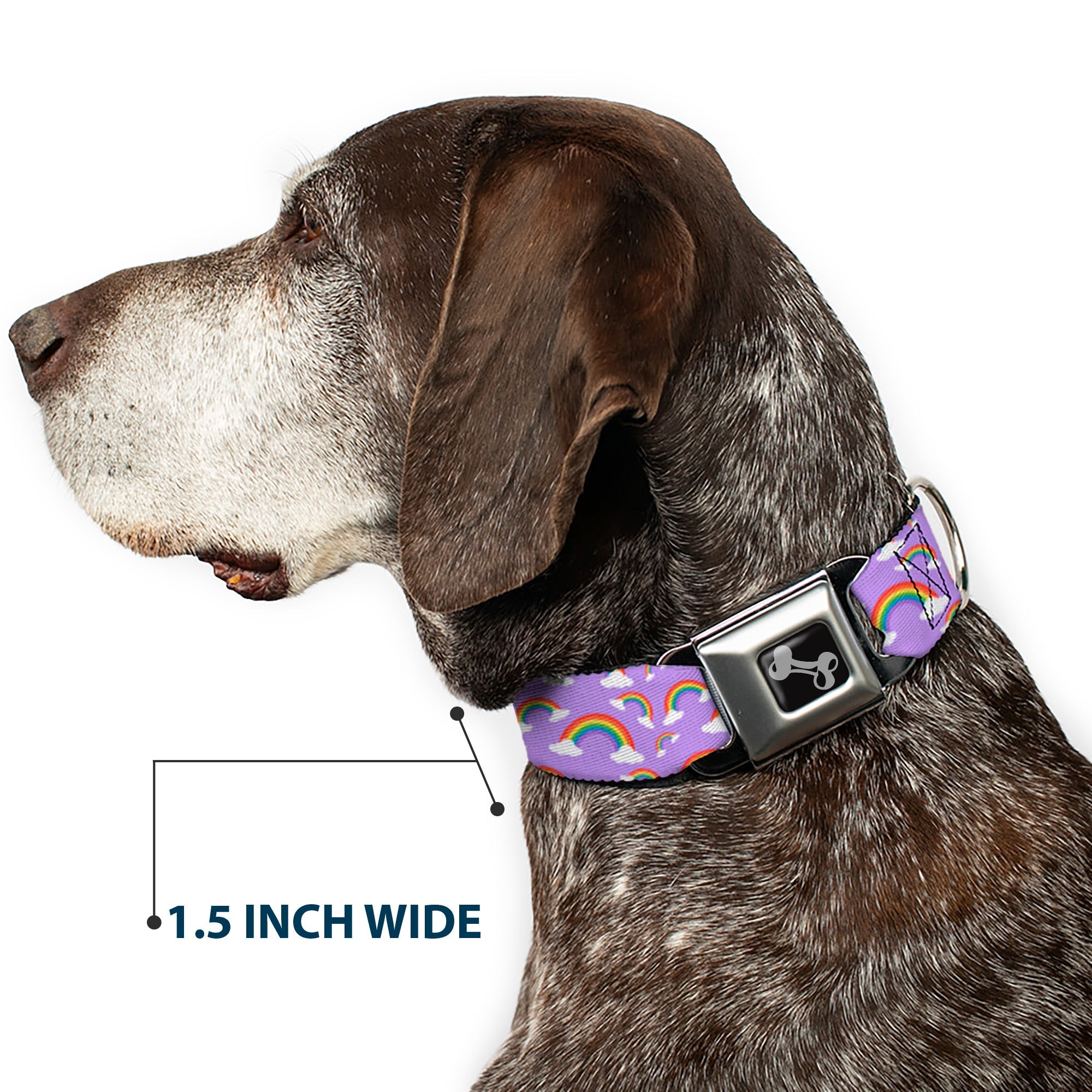 Dog Bone Black/Silver Seatbelt Buckle Collar - Rainbows Scattered Lavender