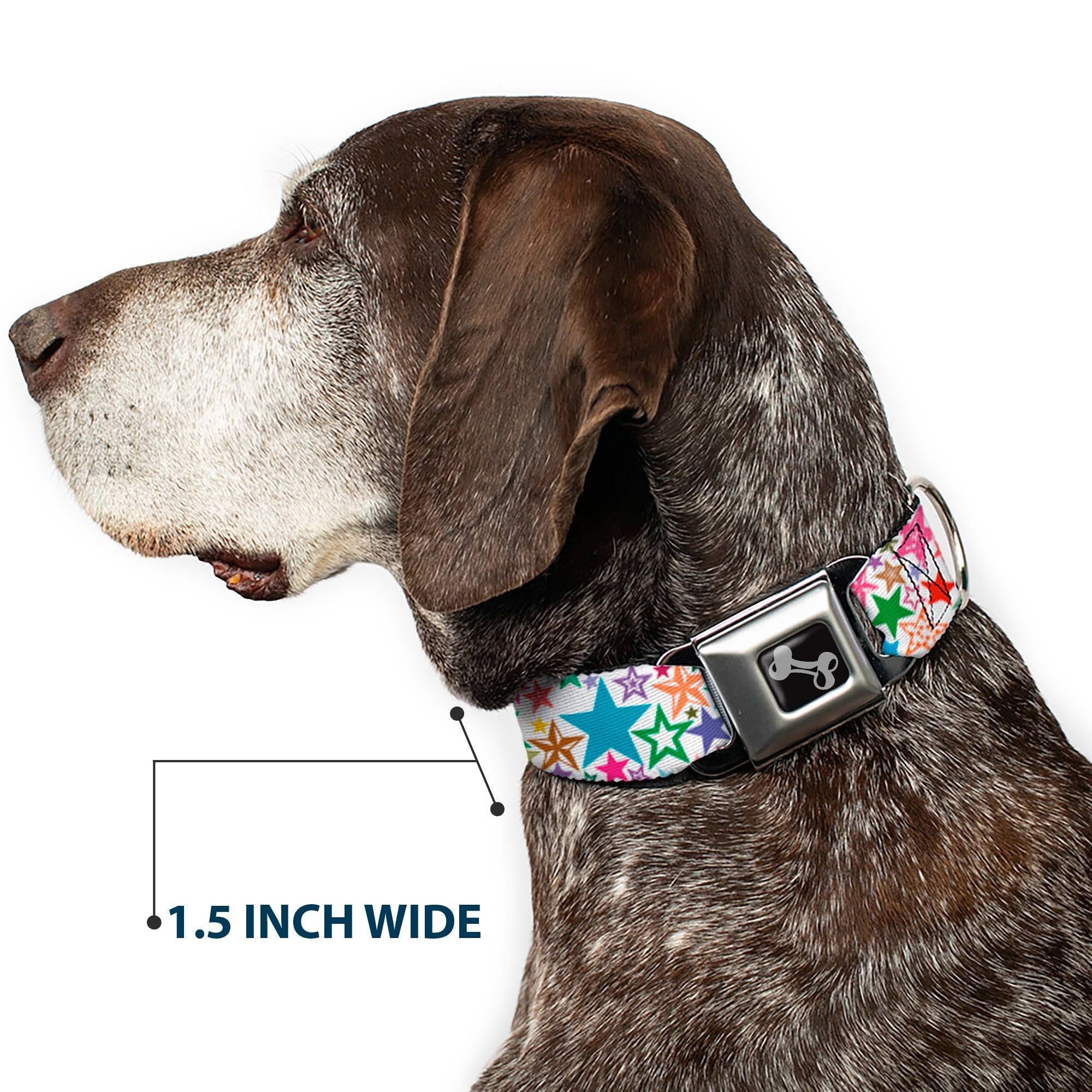 Dog Bone Seatbelt Buckle Collar - Stargazer White/Multi Color