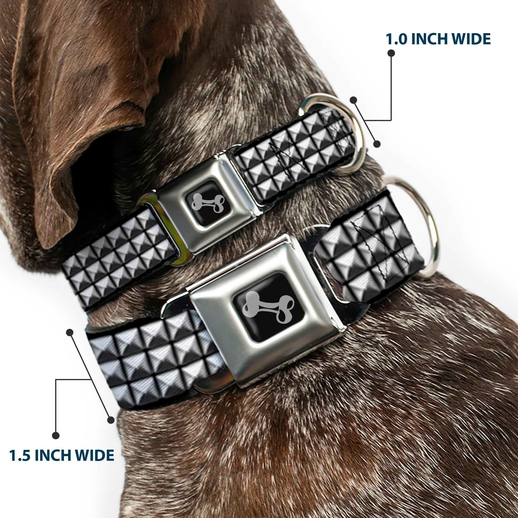 Dog Bone Black/Silver Seatbelt Buckle Collar - Printed Studs