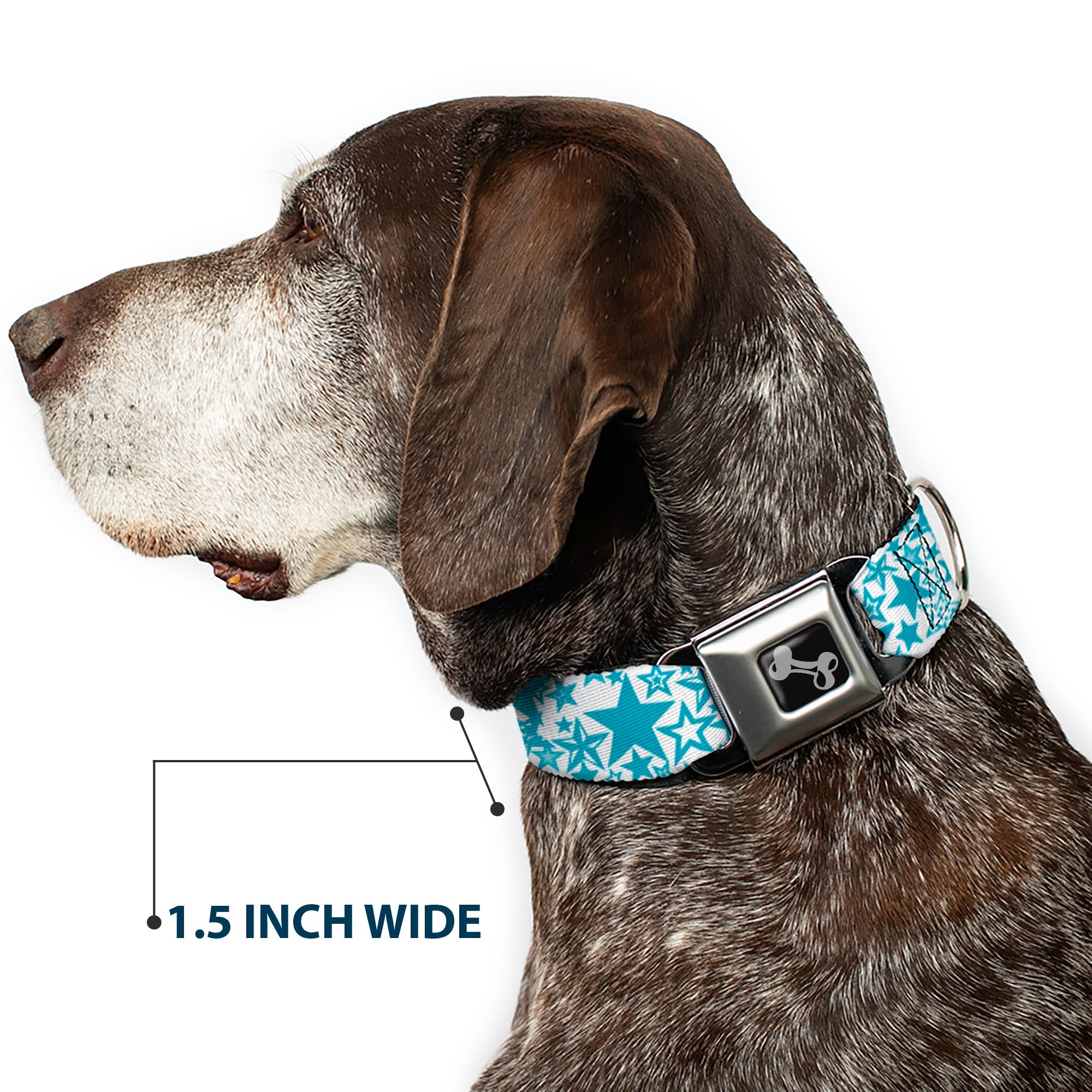 Dog Bone Seatbelt Buckle Collar - Stargazer White/Blue