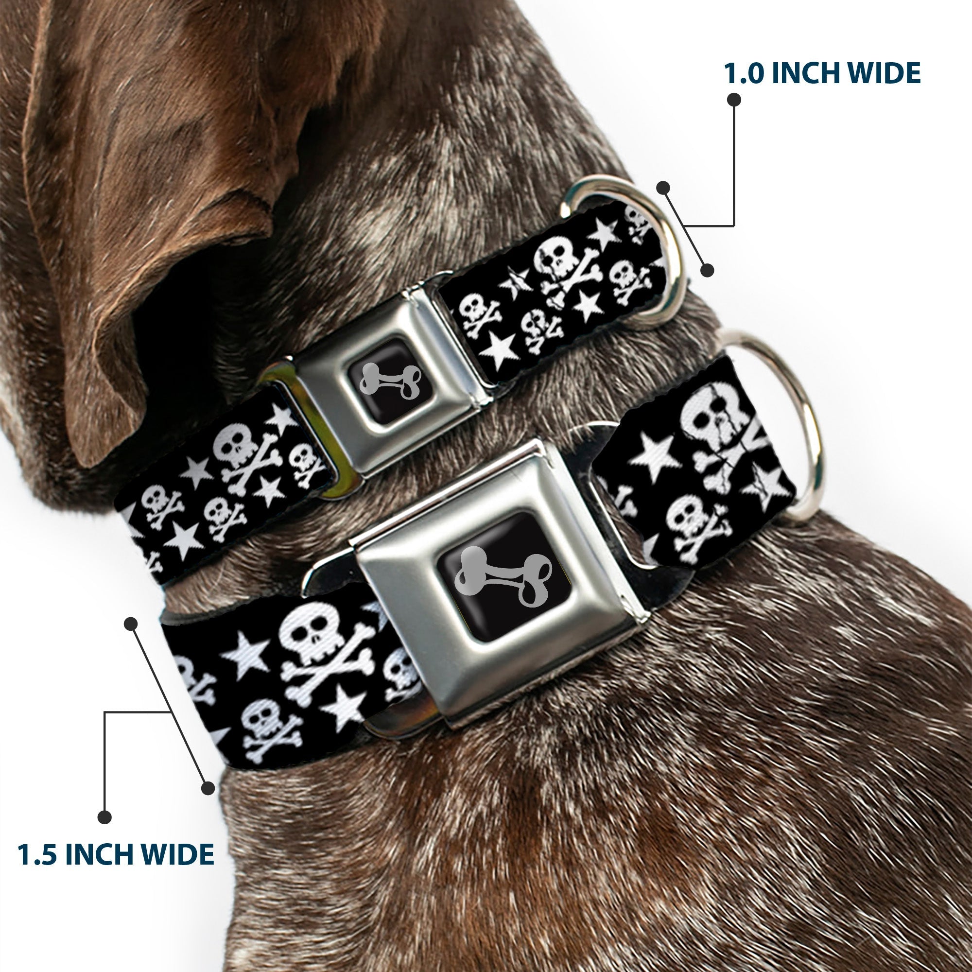 Dog Bone Seatbelt Buckle Collar - Skulls & Stars Black/White