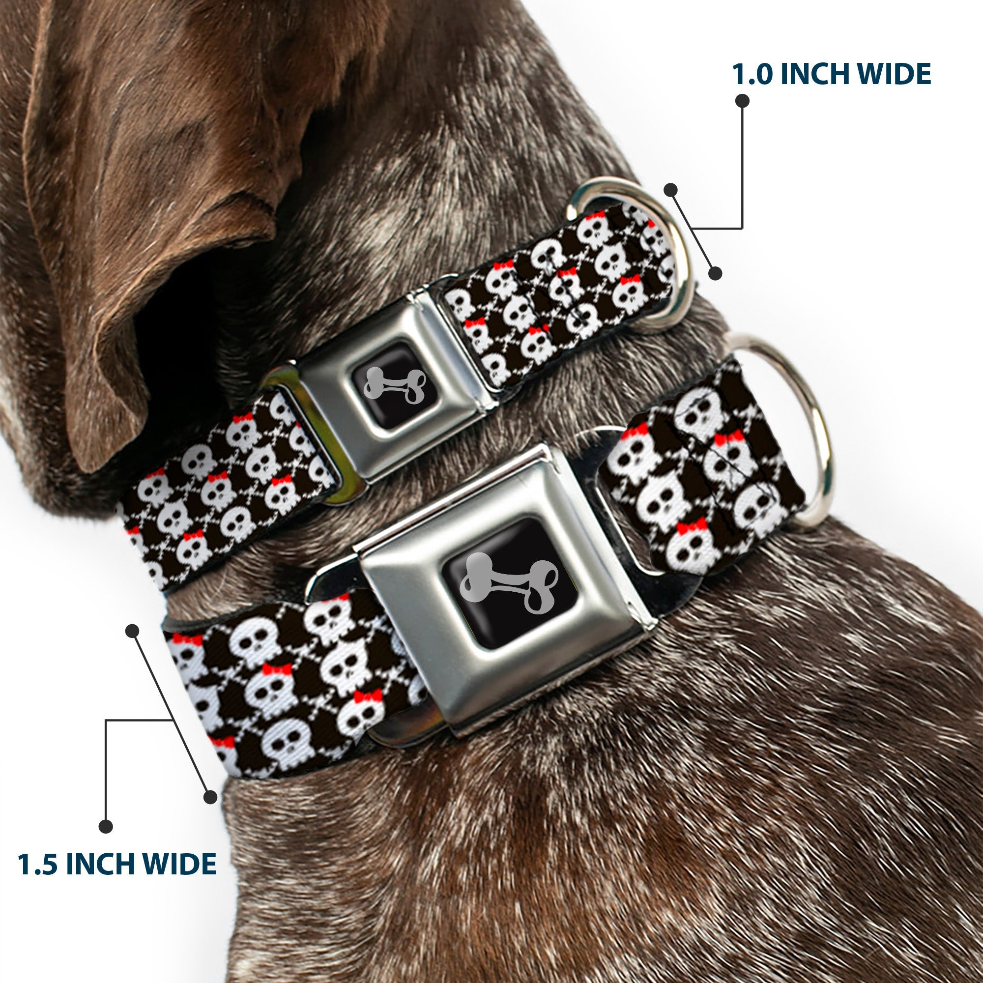 Dog Bone Seatbelt Buckle Collar - Skull w/Bow Black/White/Red