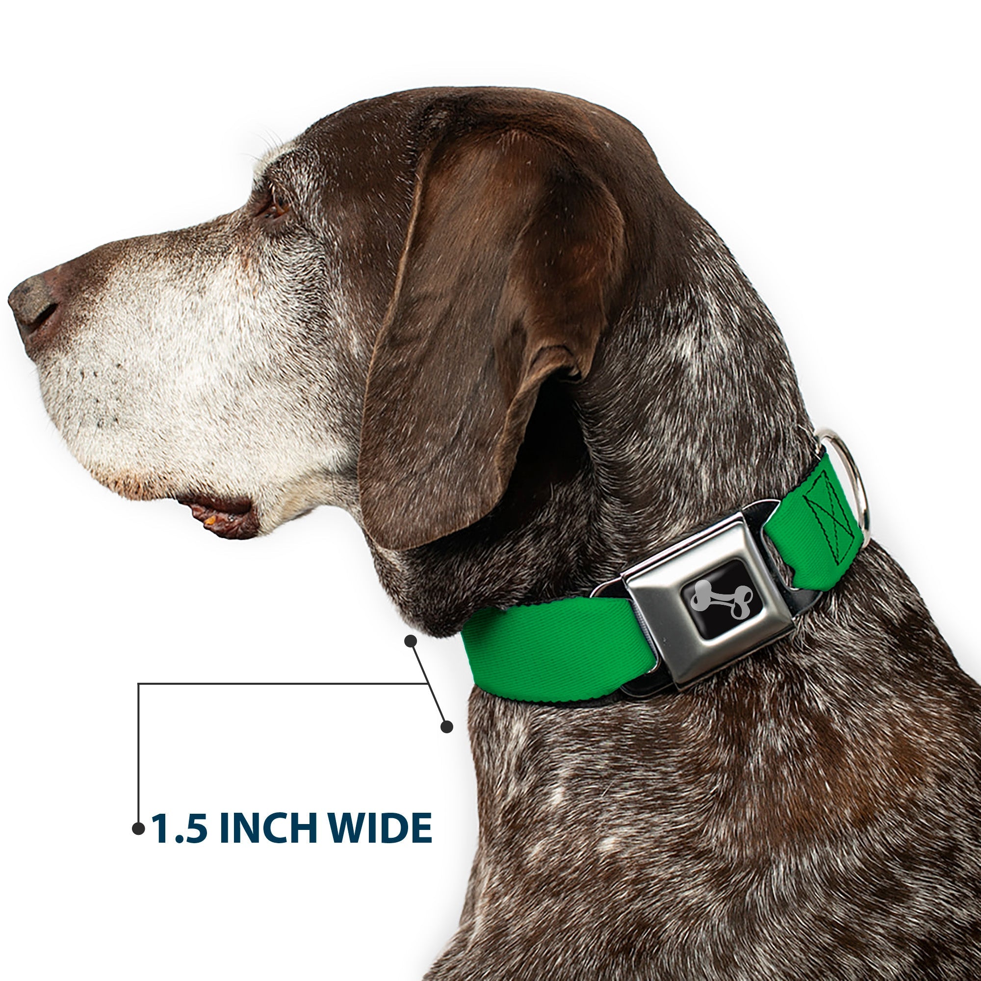 Dog Bone Seatbelt Buckle Collar - St. Paddy Green