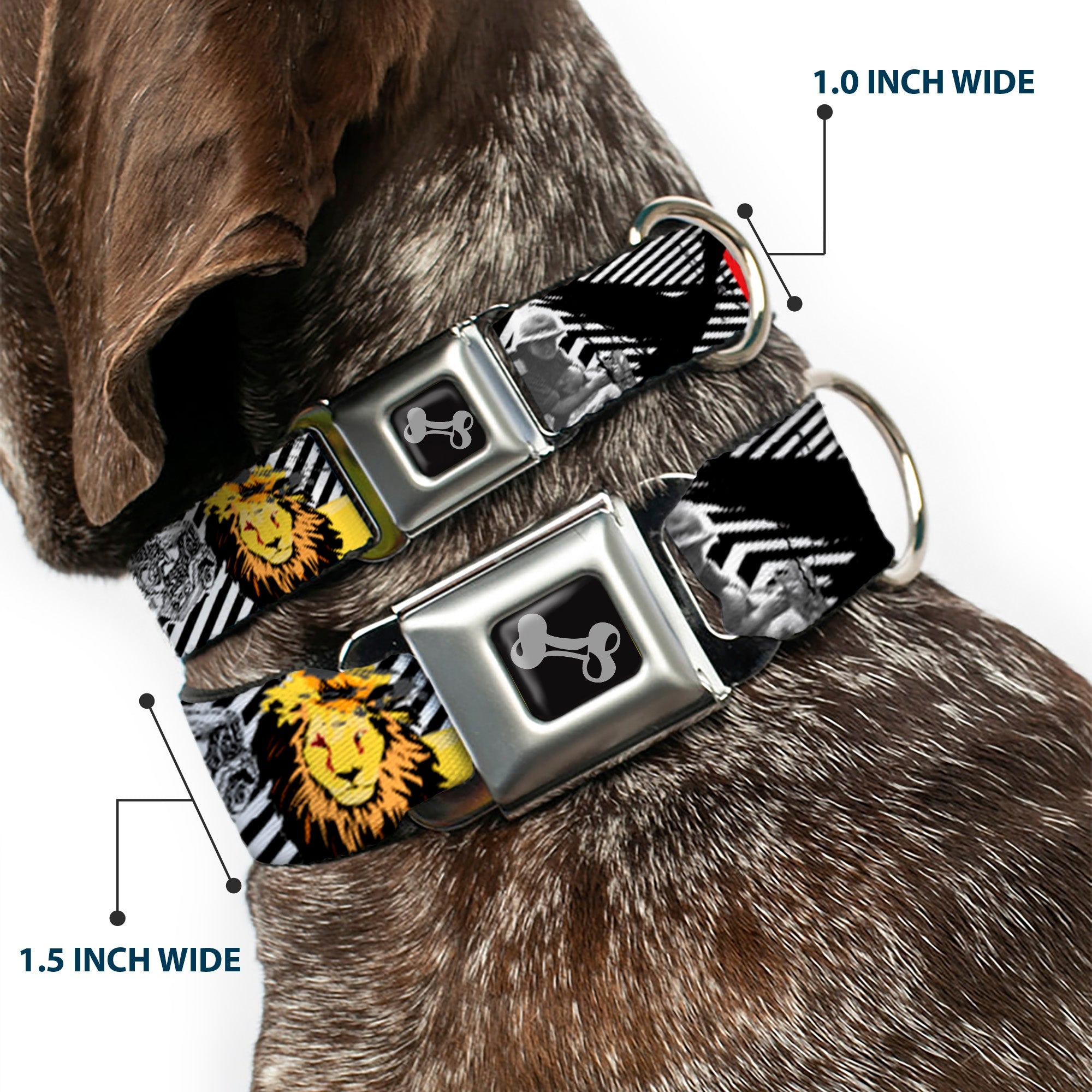 Dog Bone Seatbelt Buckle Collar - Safari