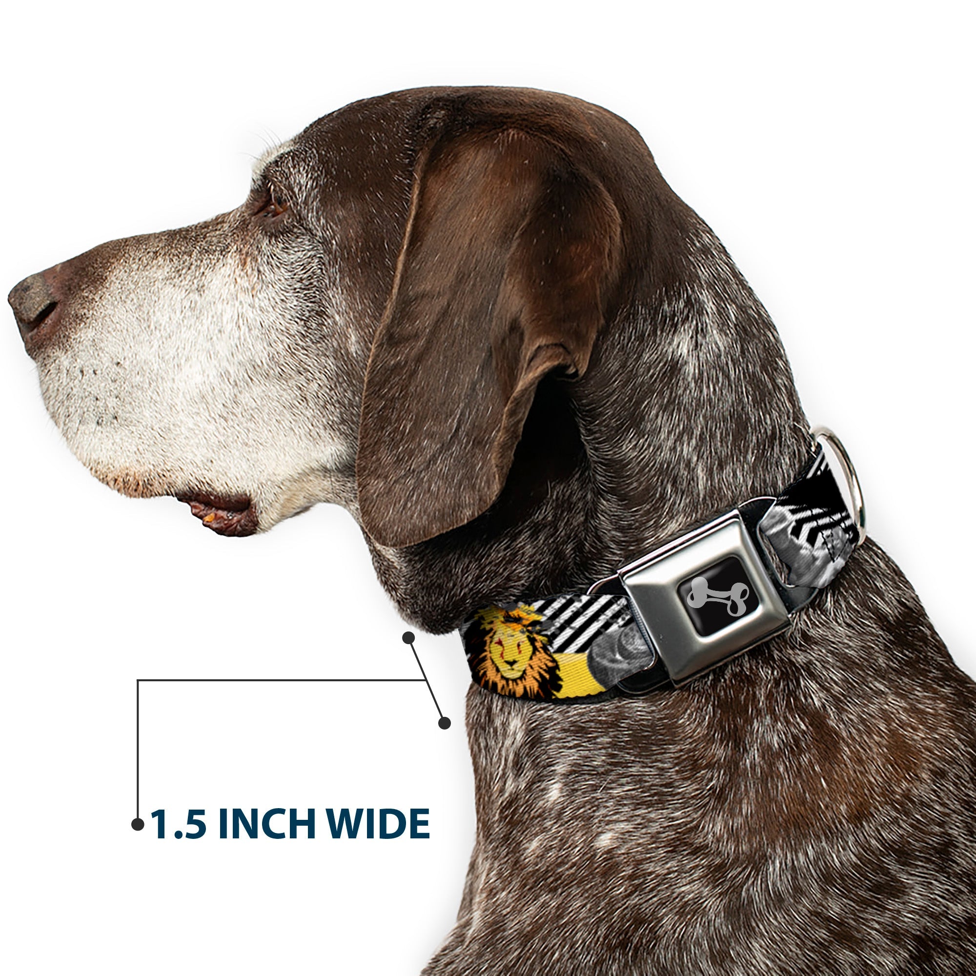 Dog Bone Seatbelt Buckle Collar - Safari