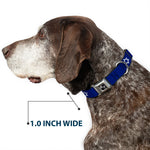 Dog Bone Seatbelt Buckle Collar - Star of David