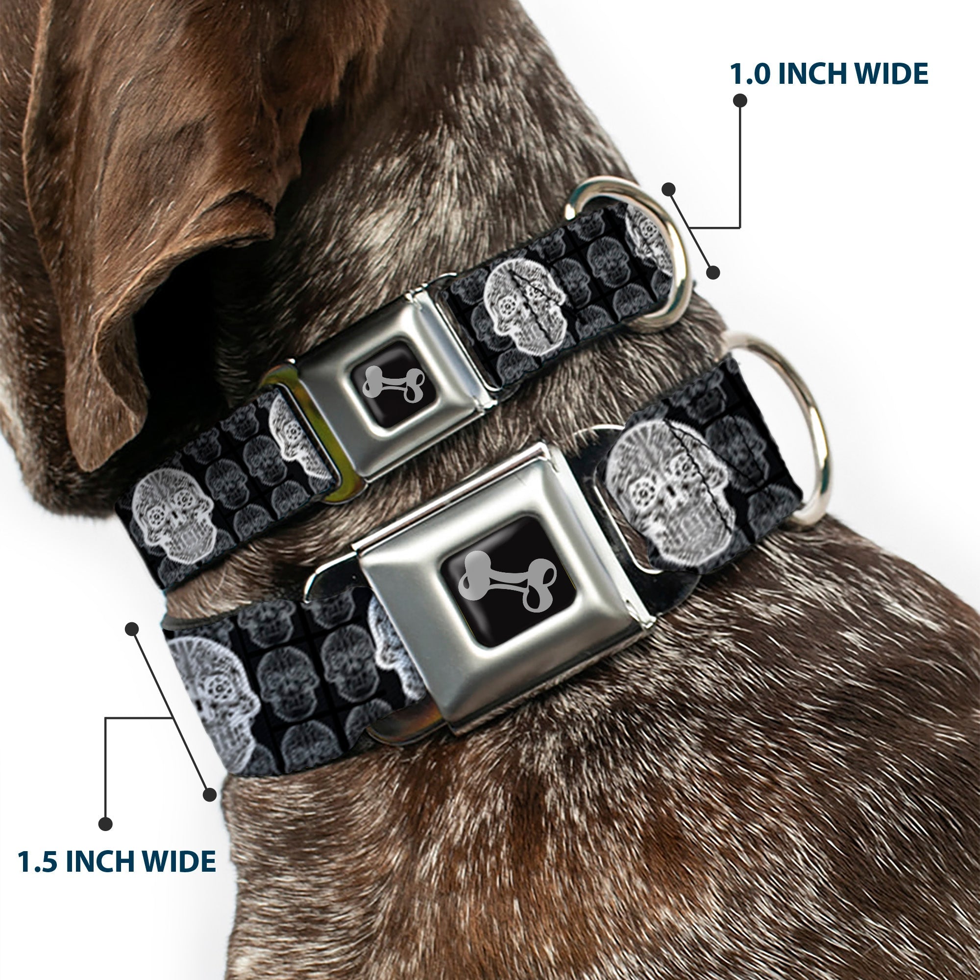 Dog Bone Seatbelt Buckle Collar - Skull Candy Black/Gray/White
