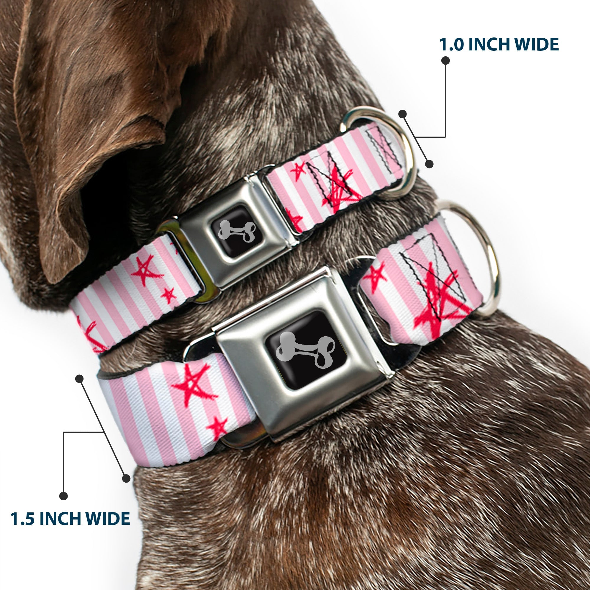 Dog Bone Seatbelt Buckle Collar - Sketch Stars w/Stripes Pink/White/Fuchsia