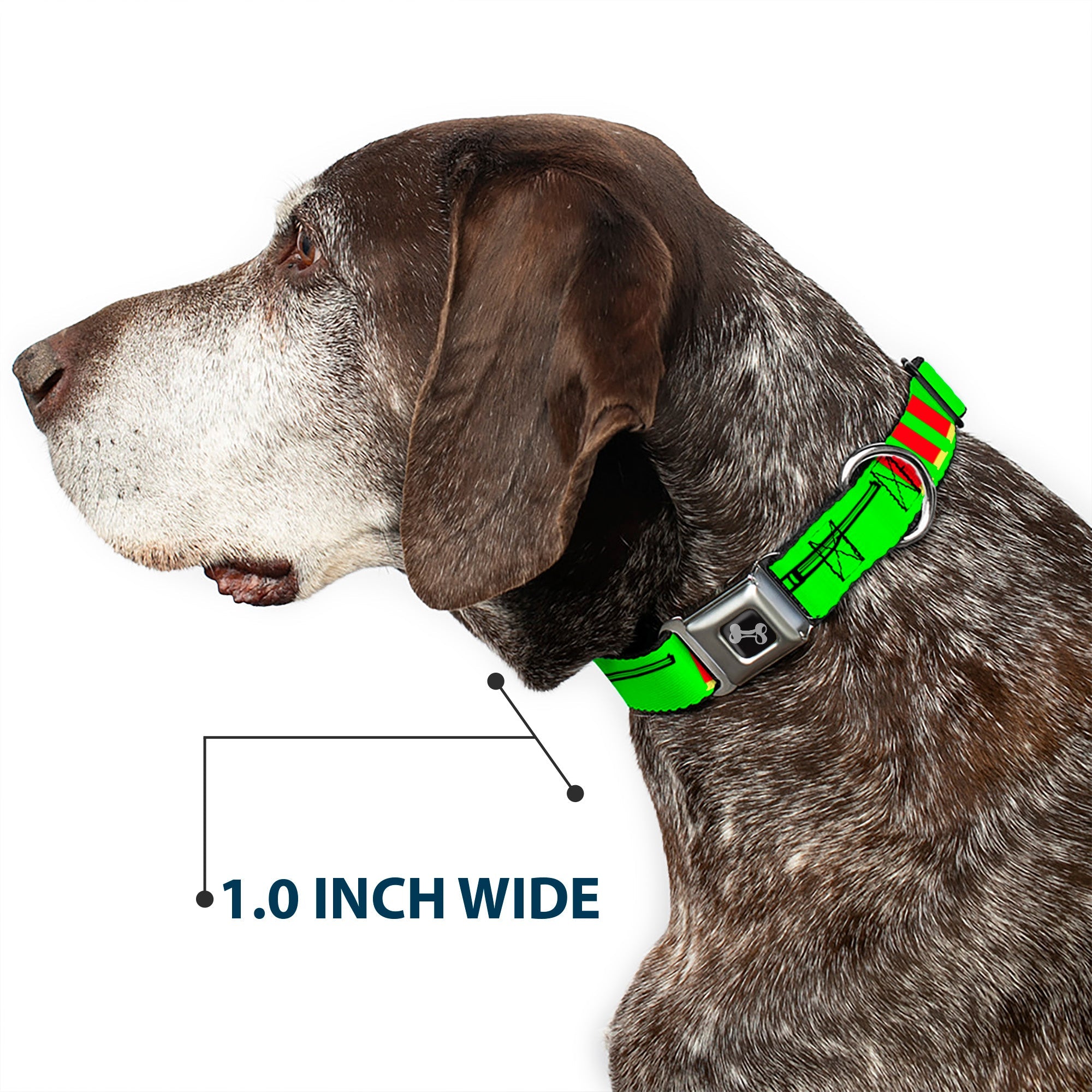 Buckle-Down Seatbelt Buckle Dog Collar - Shotgun & Shells Green