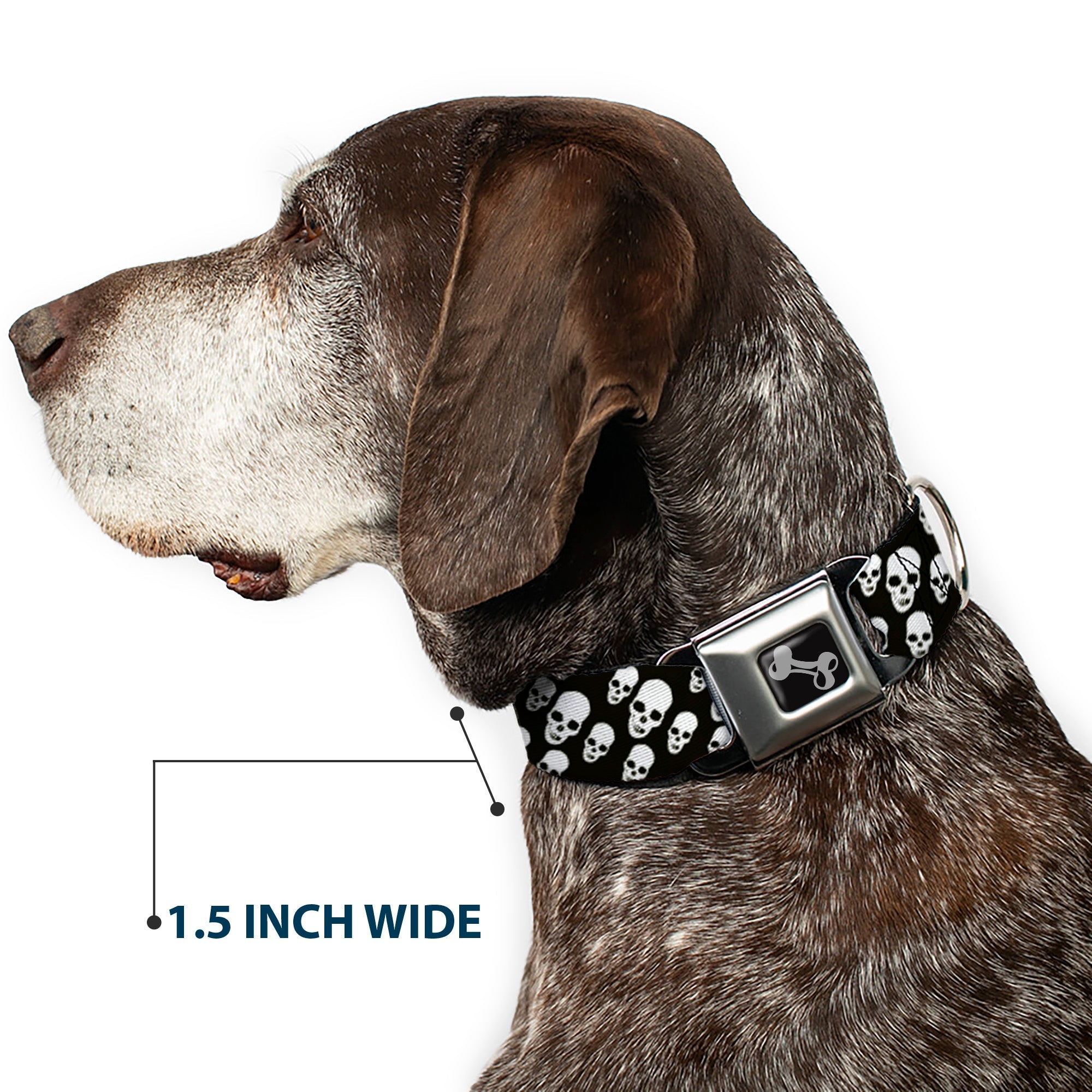 Dog Bone Seatbelt Buckle Collar - Tilted Skulls Black/White