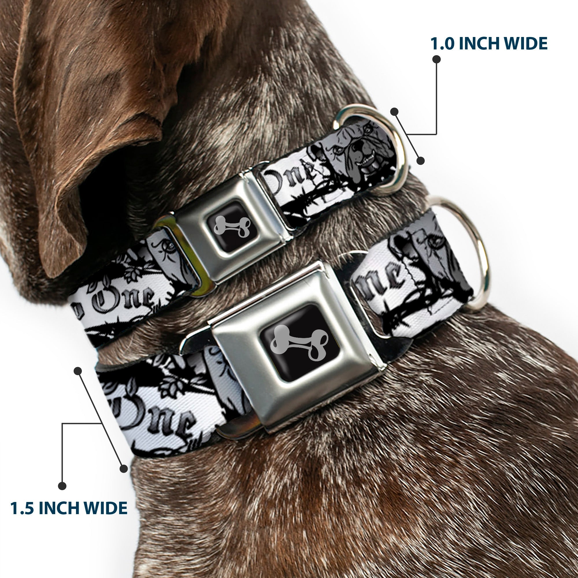 Dog Bone Seatbelt Buckle Collar - Trust No One Black/White