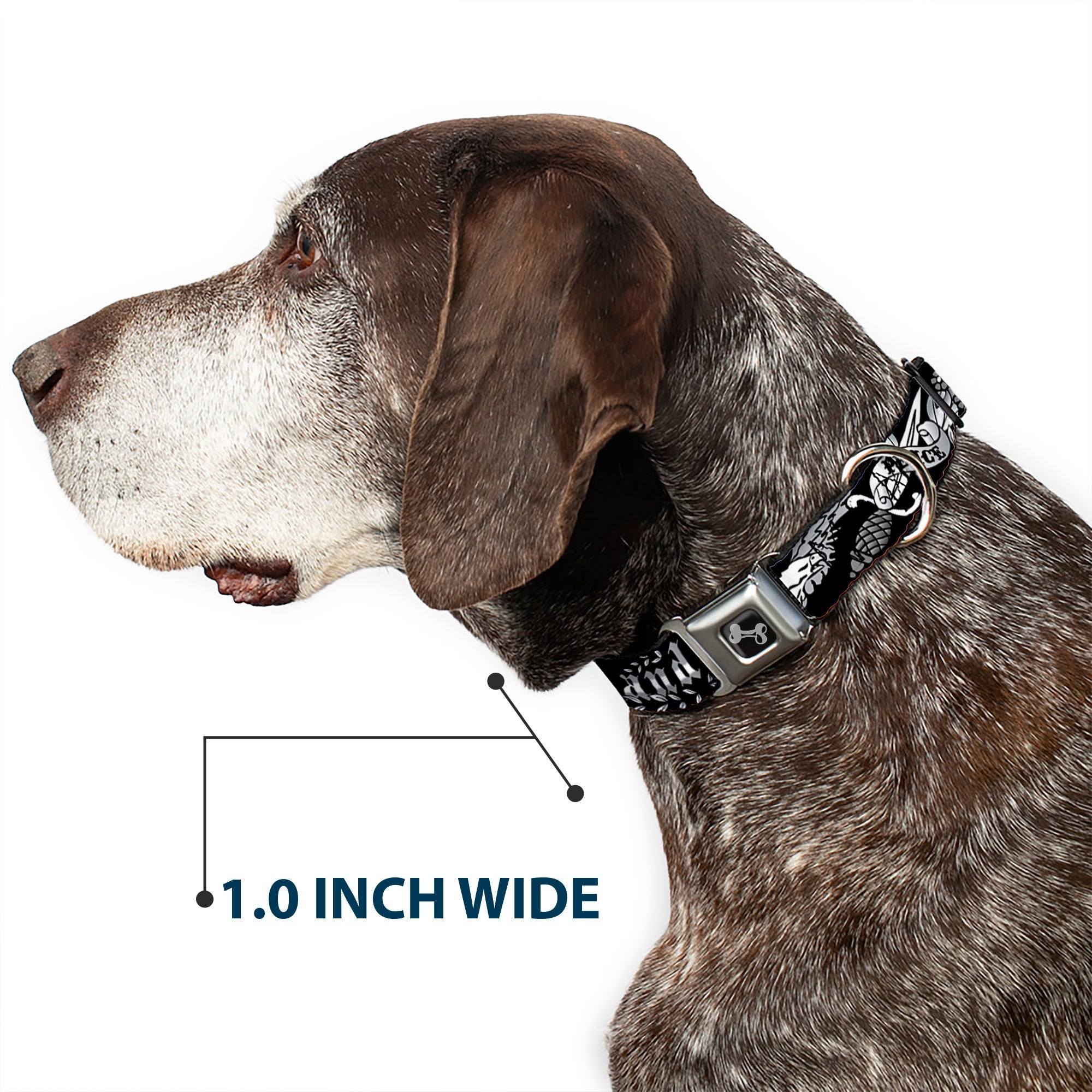 Dog Bone Seatbelt Buckle Collar - Truth and Justice Black/White