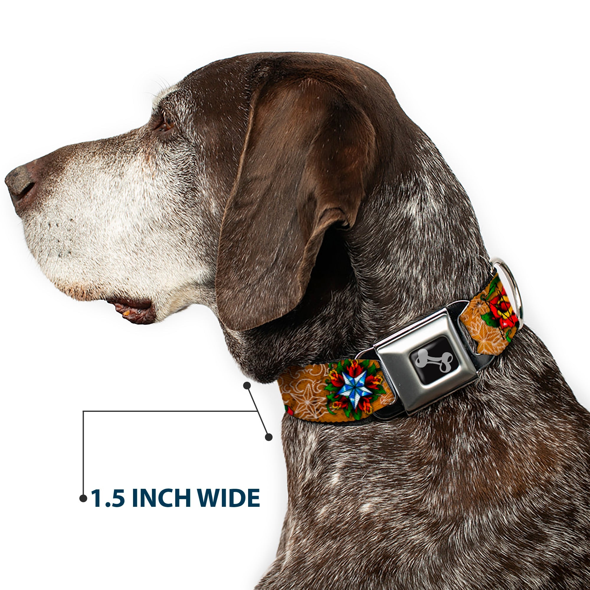 Dog Bone Seatbelt Buckle Collar - TJ-Stars