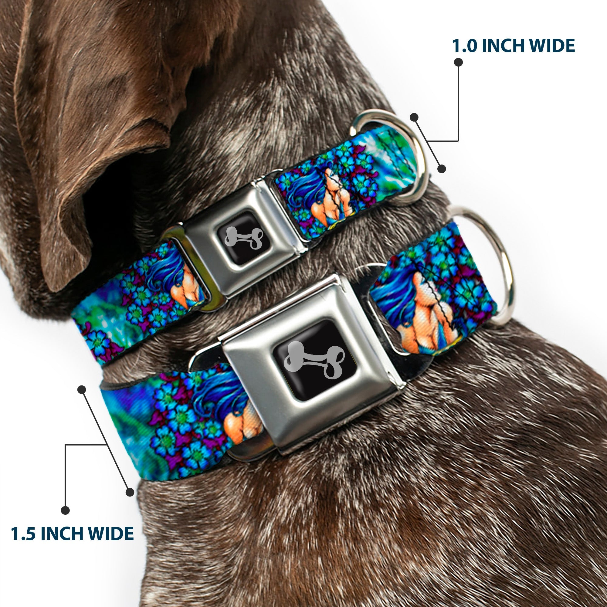 Dog Bone Seatbelt Buckle Collar - TJ-Blue Hair