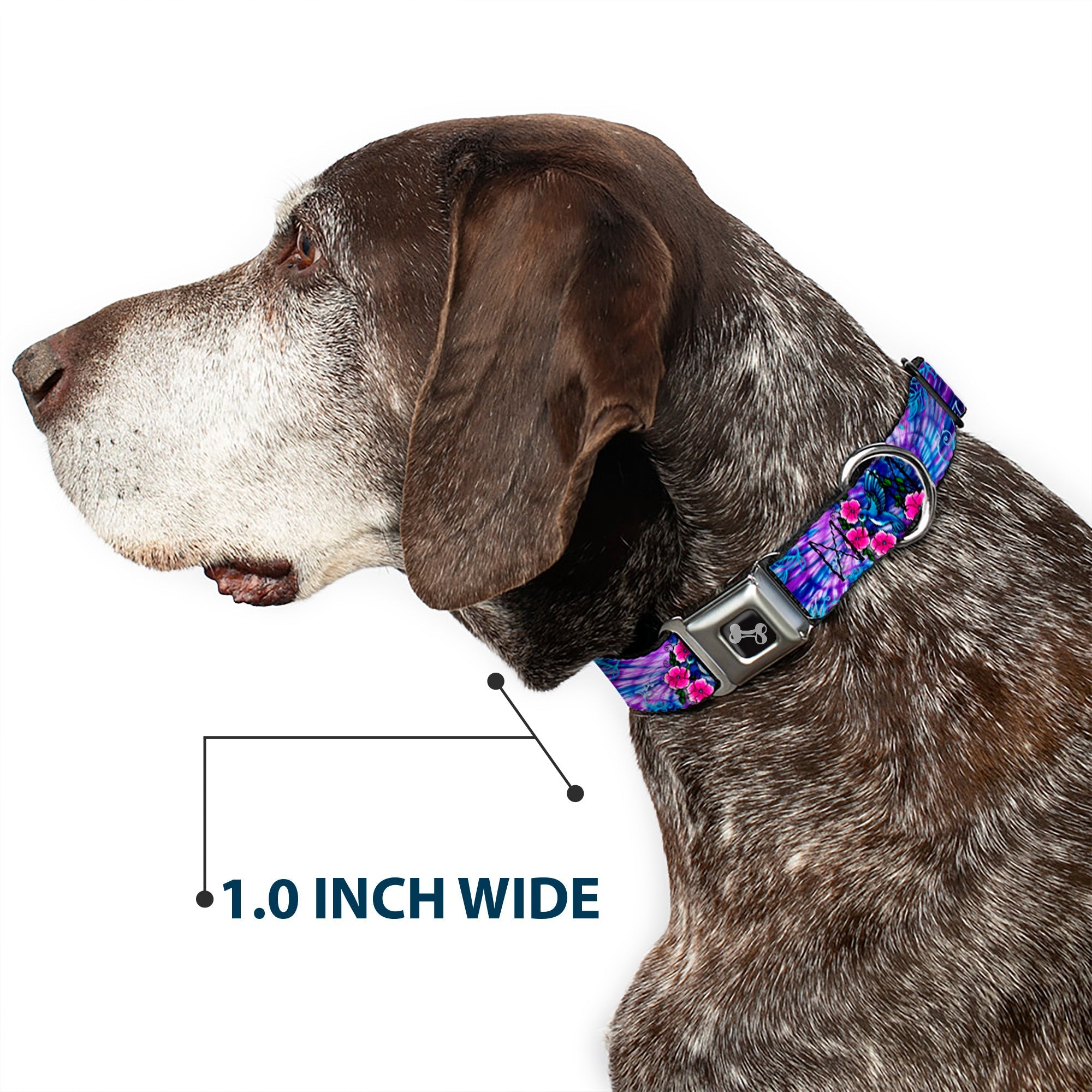 Dog Bone Seatbelt Buckle Collar - TJ-Hummingbird