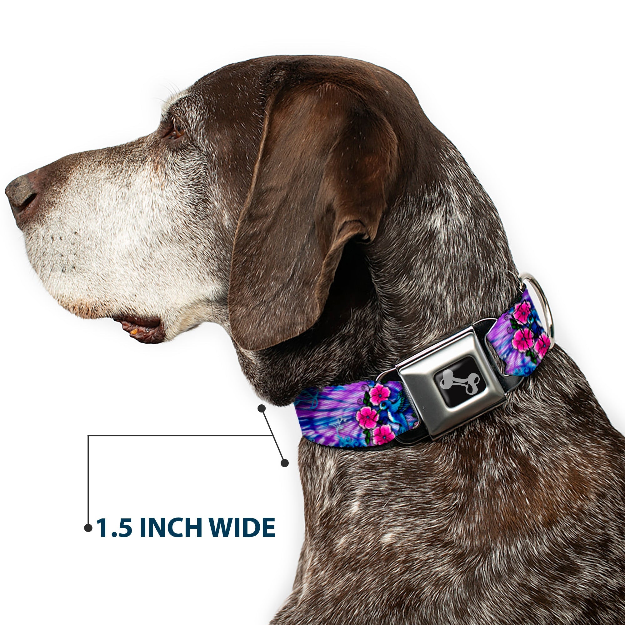 Dog Bone Seatbelt Buckle Collar - TJ-Hummingbird