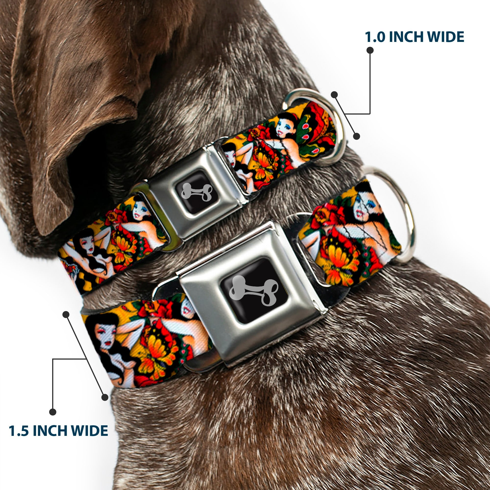 Dog Bone Seatbelt Buckle Collar - TJ-Butterfly Girl