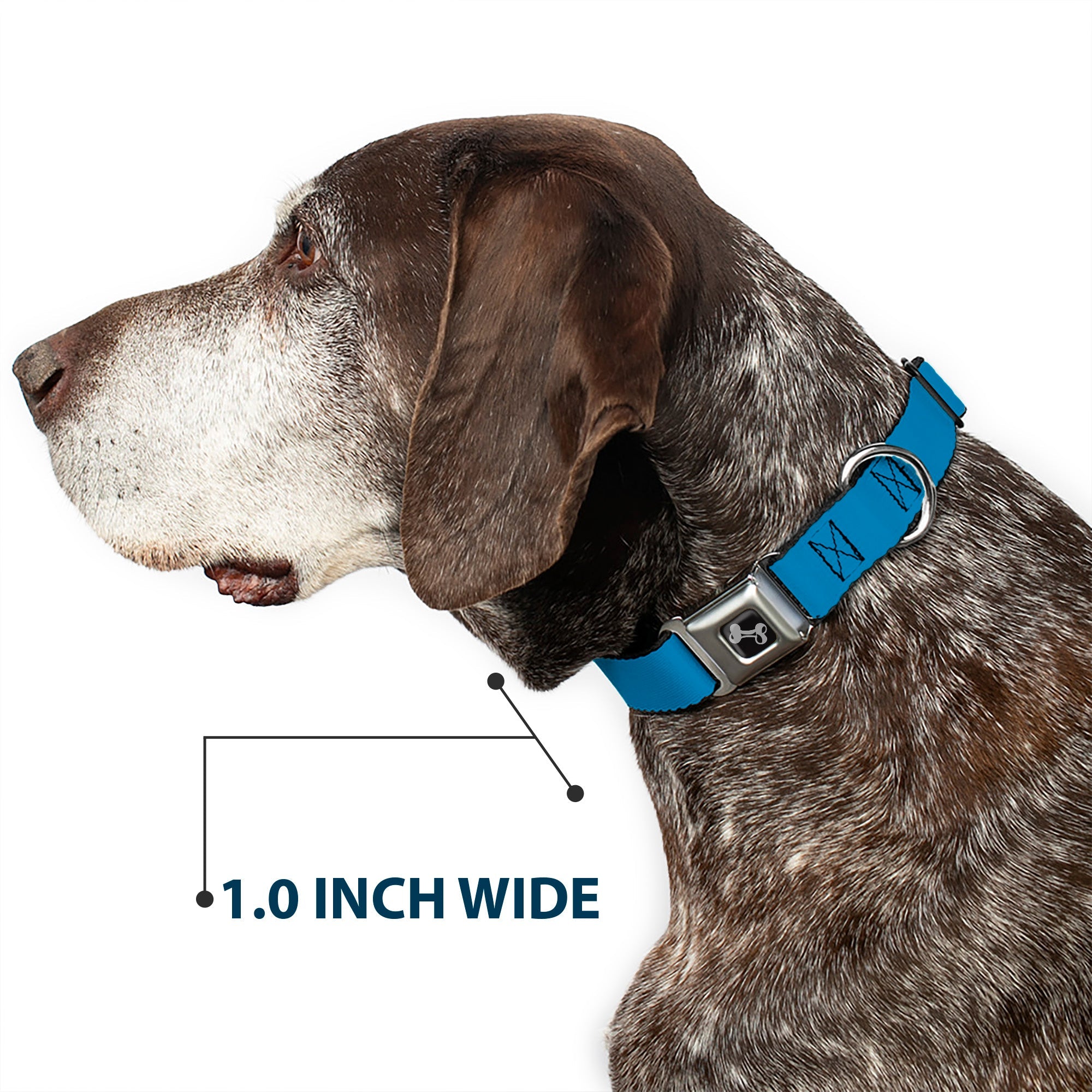 Dog Bone Seatbelt Buckle Collar - Turquoise