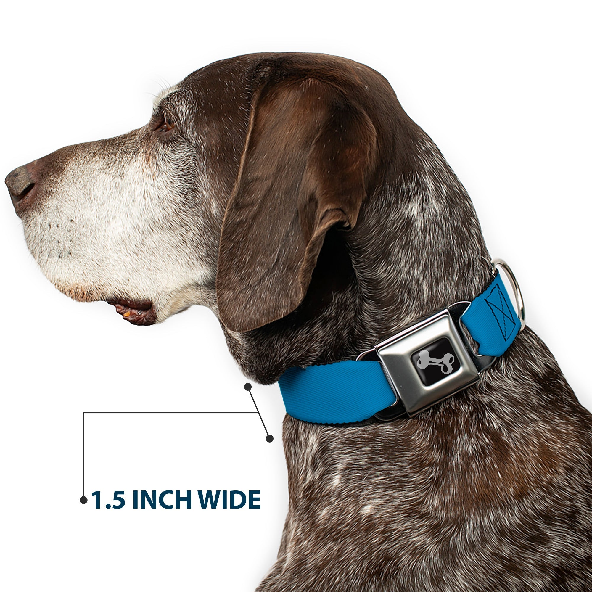 Dog Bone Seatbelt Buckle Collar - Turquoise