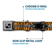 Dog Bone Seatbelt Buckle Collar - Tiger Eyes