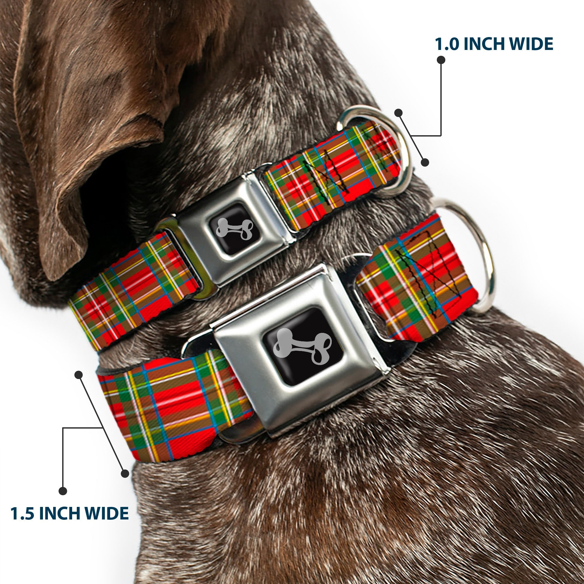 Dog Bone Seatbelt Buckle Collar - Tartan Plaid Red/Green