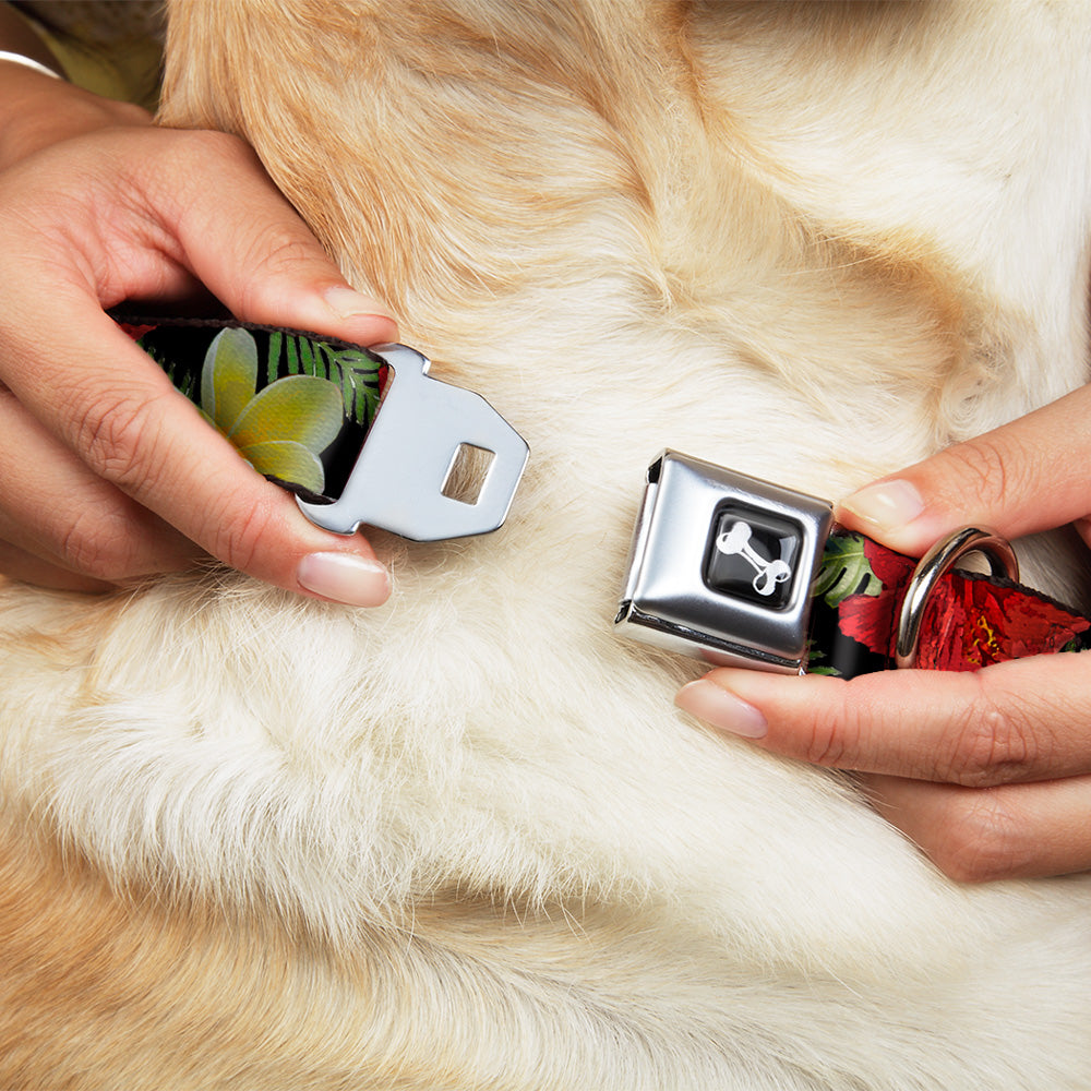 Dog Bone Seatbelt Buckle Collar - Tropical Floral Collage Black/Red/Orange