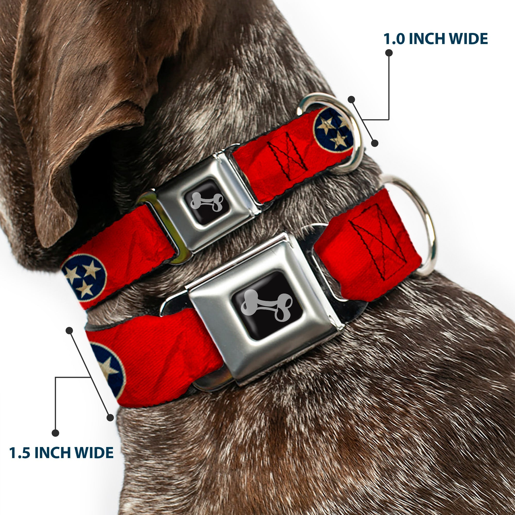 Dog Bone Seatbelt Buckle Collar - Tennessee Flag Stars CLOSE-UP Distressed