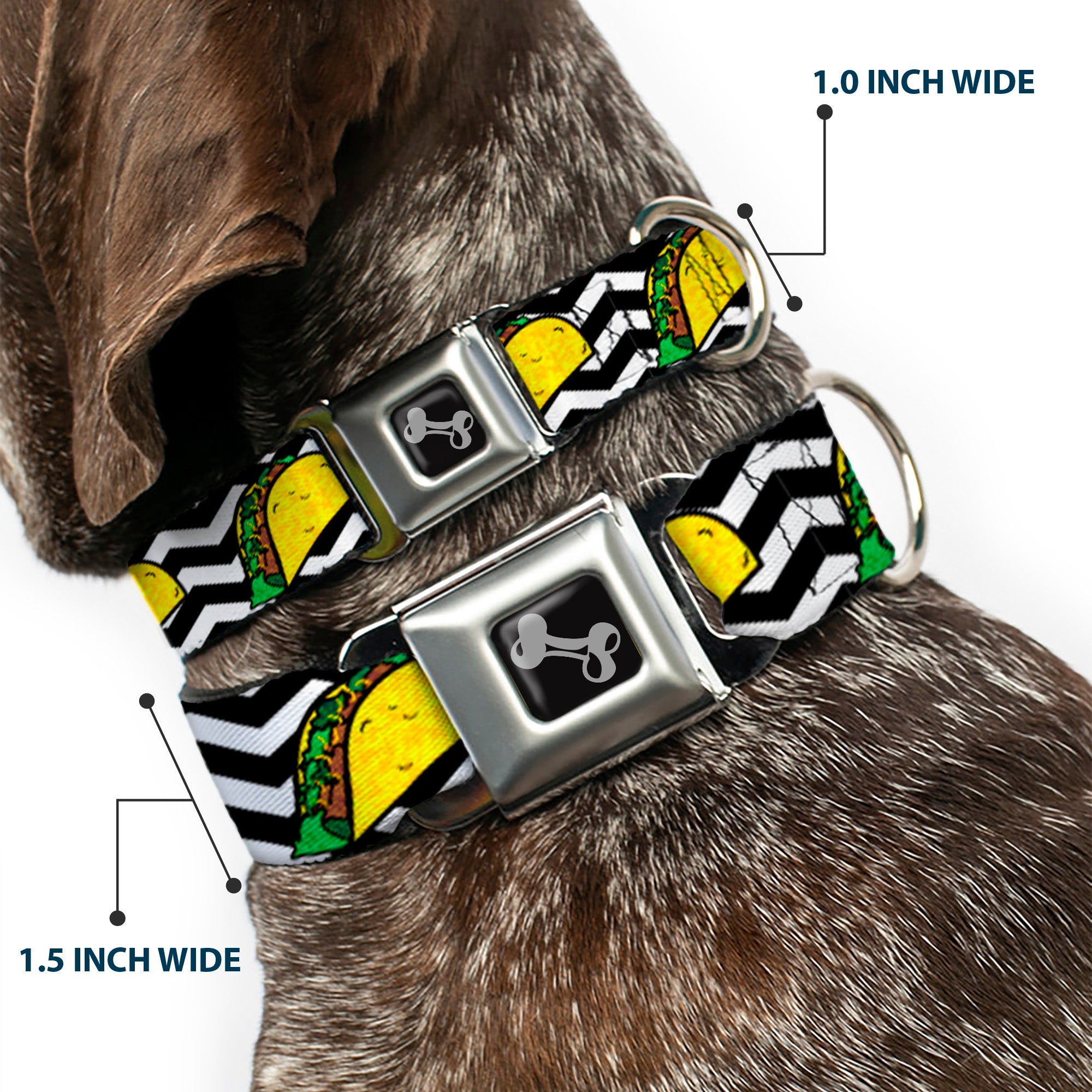Southlake Paws Dog Bone Seatbelt Buckle Collar featuring a taco and chevron black/white design, 1.0 and 1.5 inches wide.