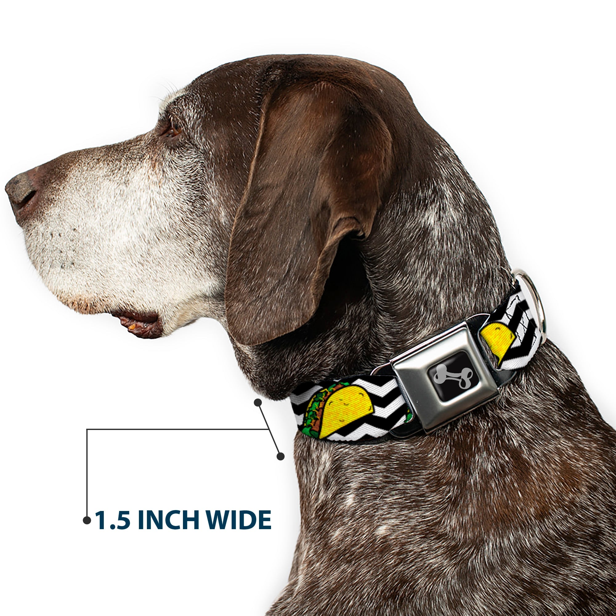 Dog Bone Seatbelt Buckle Collar by Southlake Paws features a taco and chevron black/white design, 1.5 inches wide.