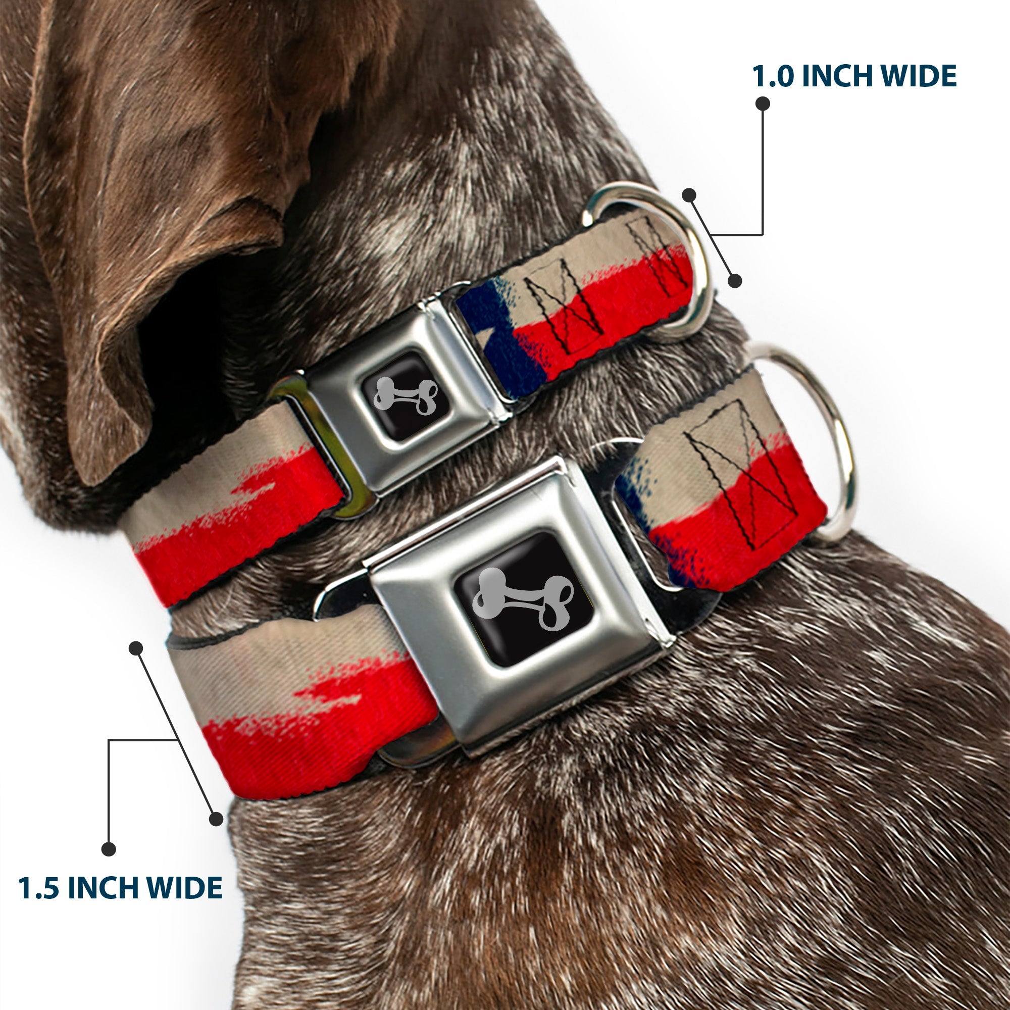 Dog Bone Seatbelt Buckle Collar - Texas Flag CLOSE-UP Distressed Painting