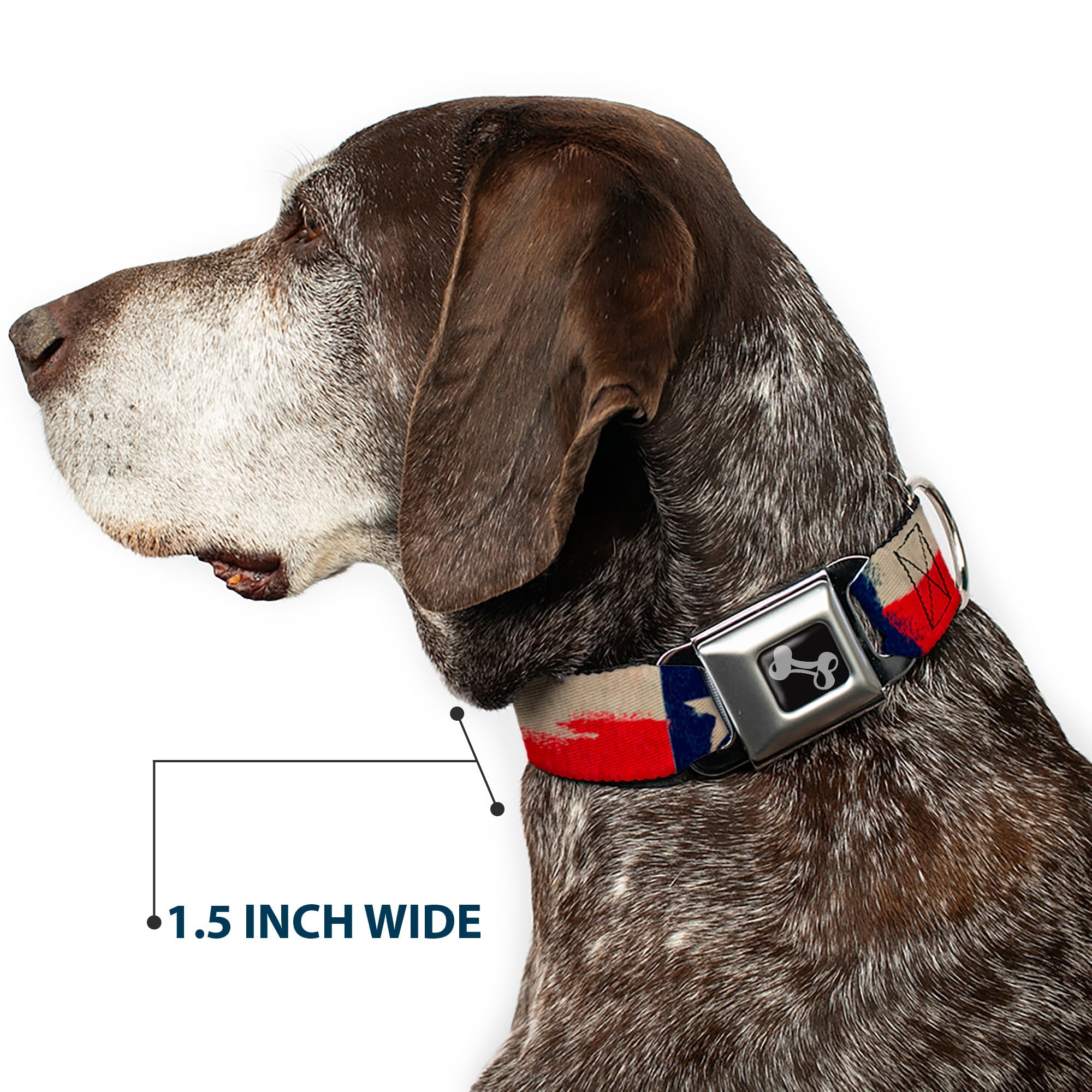 Dog Bone Seatbelt Buckle Collar - Texas Flag CLOSE-UP Distressed Painting